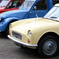 IMG_3336 _Large_.jpg
